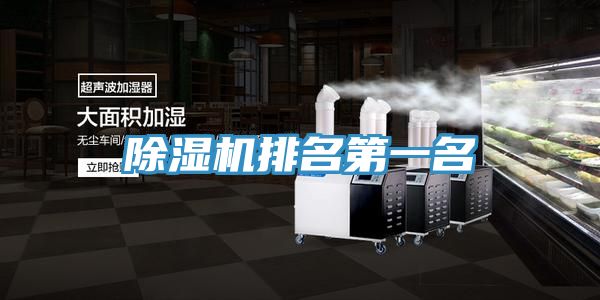 小黄片直播视频排名第一名