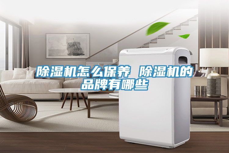 小黄片直播视频怎么保养 小黄片直播视频的品牌有哪些