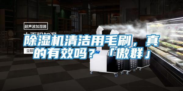 小黄片直播视频清洁用毛刷，真的有效吗？「傲群」