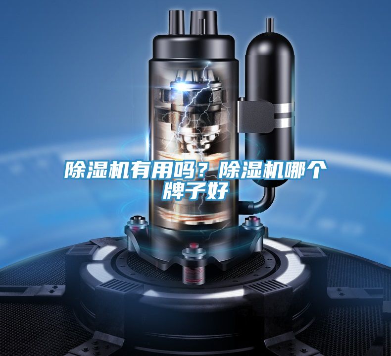 小黄片直播视频有用吗？小黄片直播视频哪个牌子好