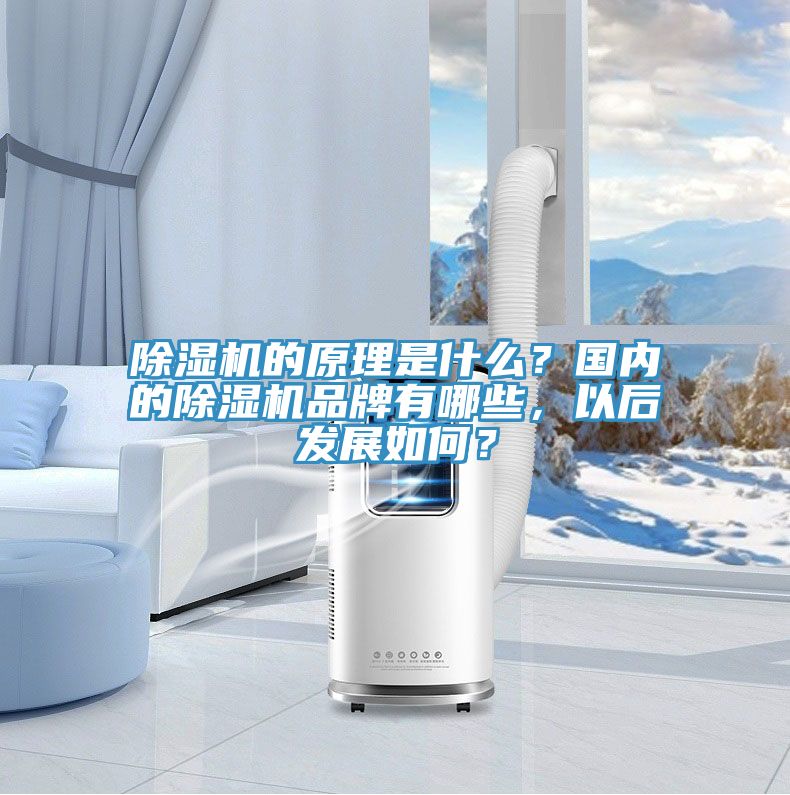小黄片直播视频的原理是什么？国内的小黄片直播视频品牌有哪些，以后发展如何？