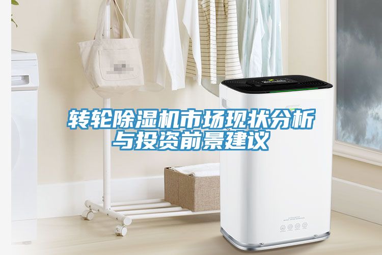 转轮小黄片直播视频市场现状分析与投资前景建议