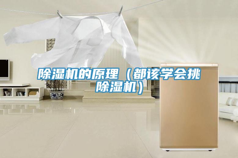 小黄片直播视频的原理（都该学会挑小黄片直播视频）