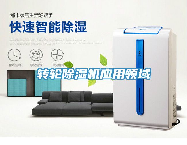 转轮小黄片直播视频应用领域