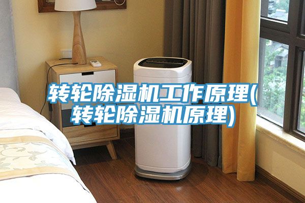 转轮小黄片直播视频工作原理(转轮小黄片直播视频原理)