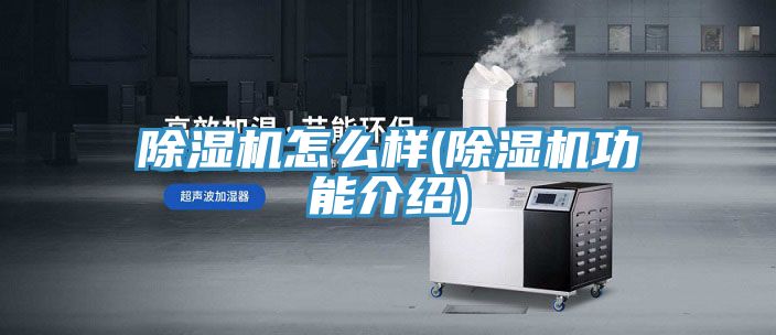 小黄片直播视频怎么样(小黄片直播视频功能介绍)