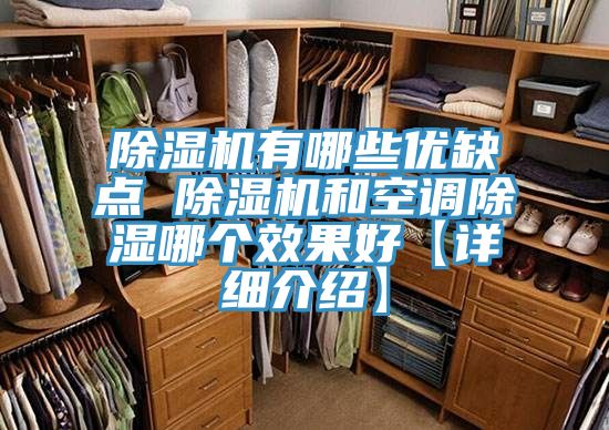 小黄片直播视频有哪些优缺点 小黄片直播视频和空调除湿哪个效果好【详细介绍】