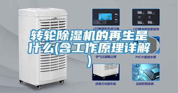 转轮小黄片直播视频的再生是什么(含工作原理详解)