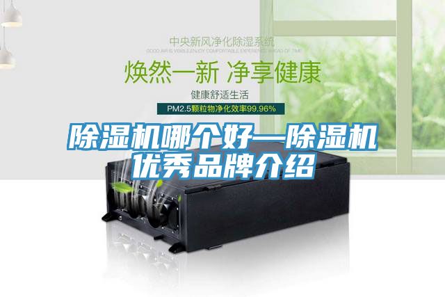小黄片直播视频哪个好—小黄片直播视频优秀品牌介绍