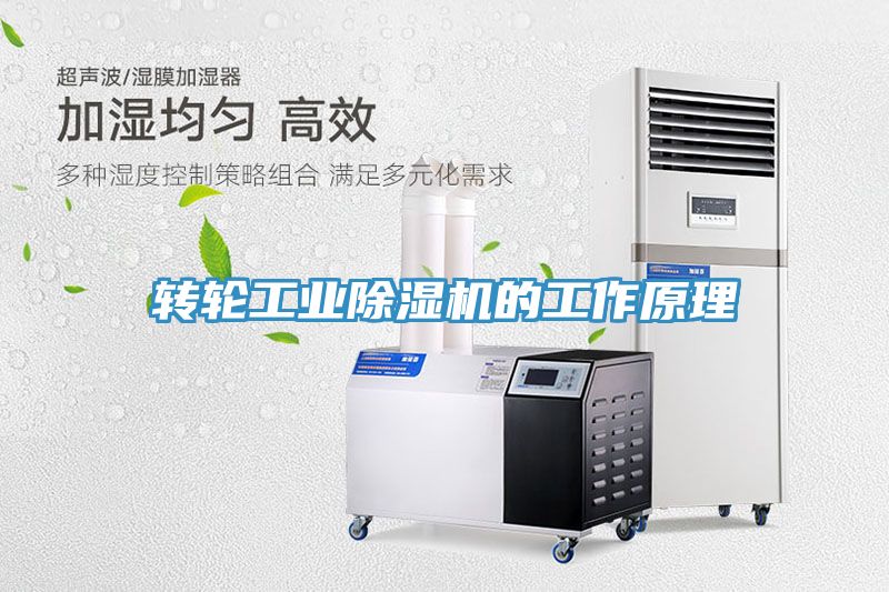 转轮工业小黄片直播视频的工作原理