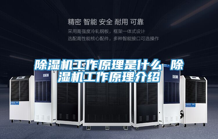 小黄片直播视频工作原理是什么 小黄片直播视频工作原理介绍