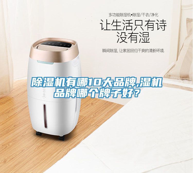 小黄片直播视频有哪10大品牌,湿机品牌哪个牌子好？