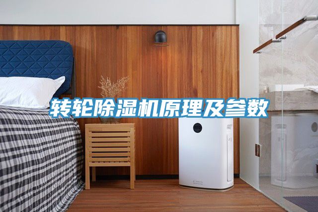 转轮小黄片直播视频原理及参数