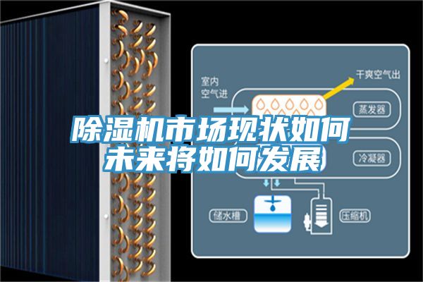 小黄片直播视频市场现状如何未来将如何发展