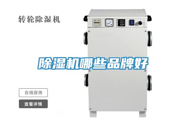 小黄片直播视频哪些品牌好