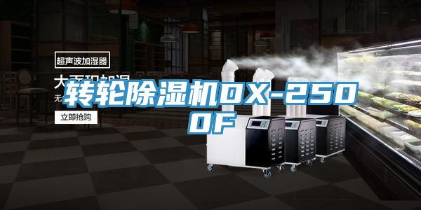转轮小黄片直播视频DX-2500F