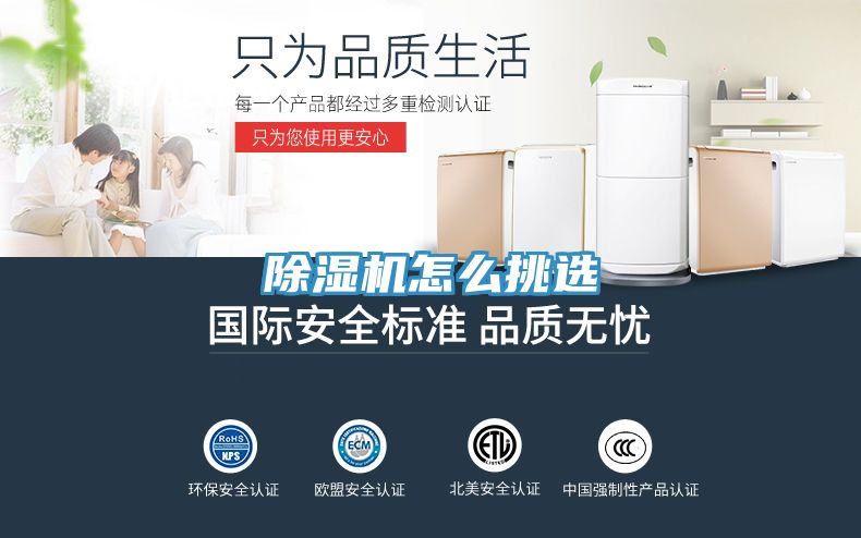 小黄片直播视频怎么挑选