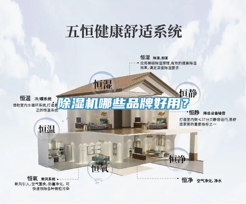 小黄片直播视频哪些品牌好用？