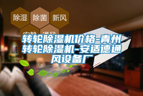转轮小黄片直播视频价格-青州转轮小黄片直播视频-安适德通风设备厂