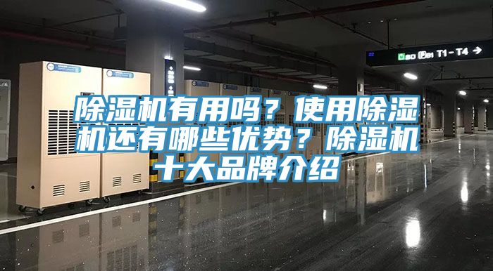 小黄片直播视频有用吗？使用小黄片直播视频还有哪些优势？小黄片直播视频十大品牌介绍