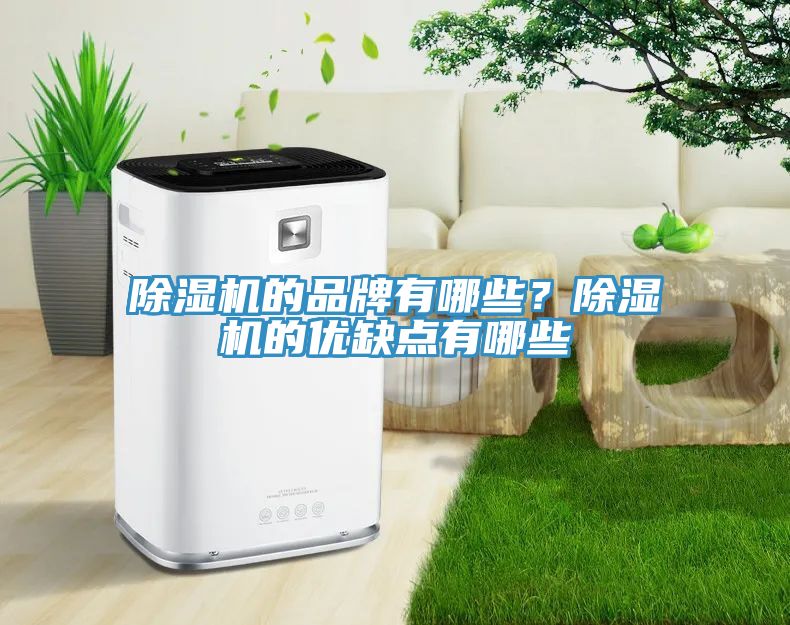 小黄片直播视频的品牌有哪些？小黄片直播视频的优缺点有哪些