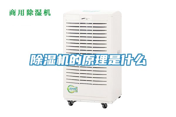 小黄片直播视频的原理是什么