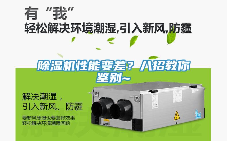 小黄片直播视频性能变差？八招教你鉴别~