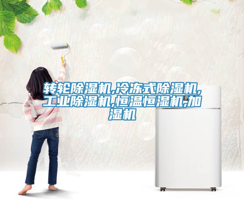 转轮小黄片直播视频,冷冻式小黄片直播视频,工业小黄片直播视频,恒温恒湿机,加湿机