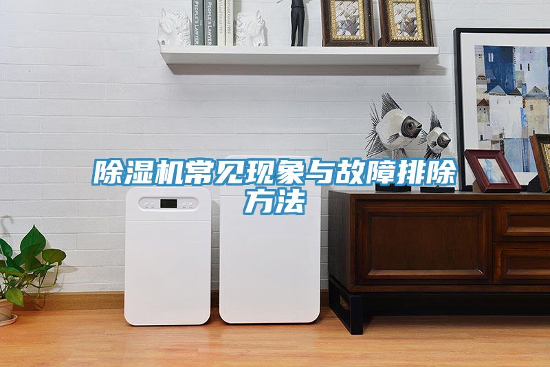 小黄片直播视频常见现象与故障排除方法