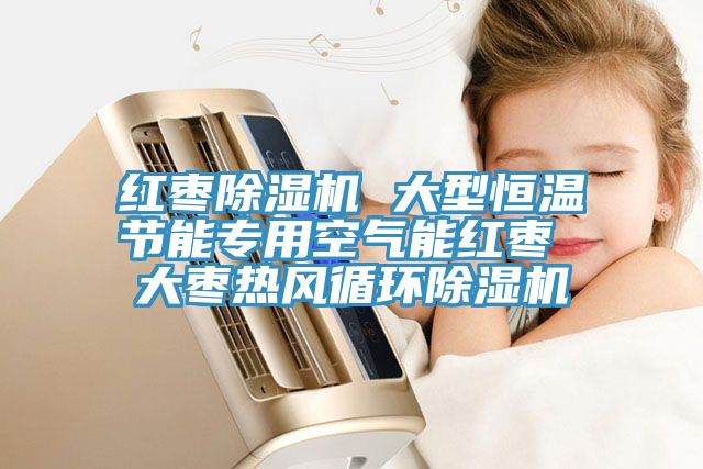 红枣小黄片直播视频 大型恒温节能专用空气能红枣 大枣热风循环小黄片直播视频