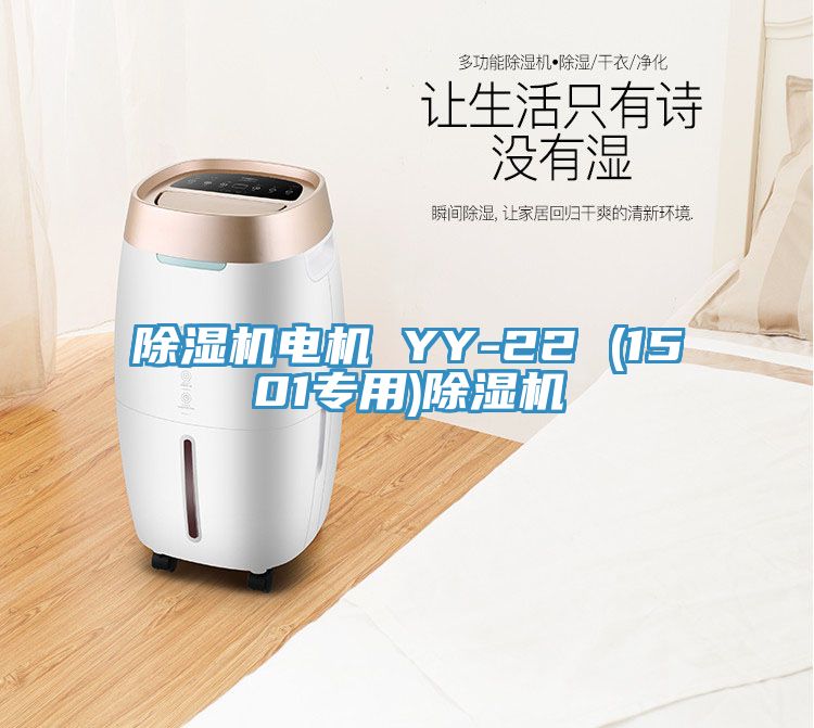 小黄片直播视频电机 YY-22 (1501专用)小黄片直播视频