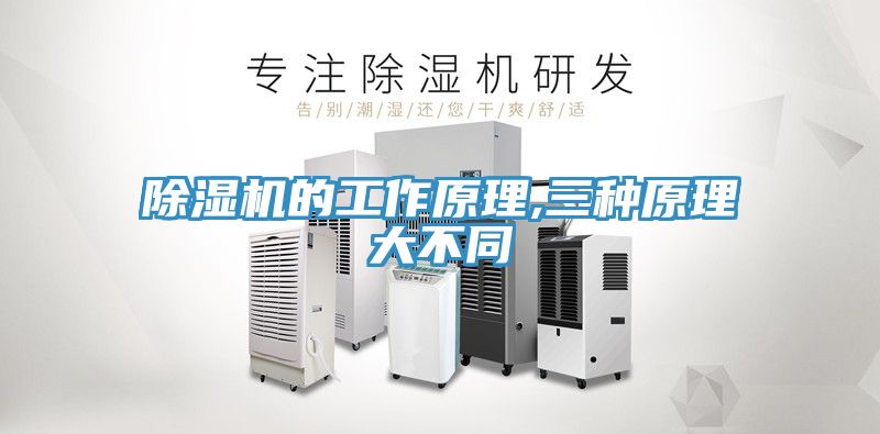 小黄片直播视频的工作原理,三种原理大不同