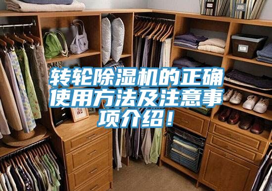 转轮小黄片直播视频的正确使用方法及注意事项介绍！