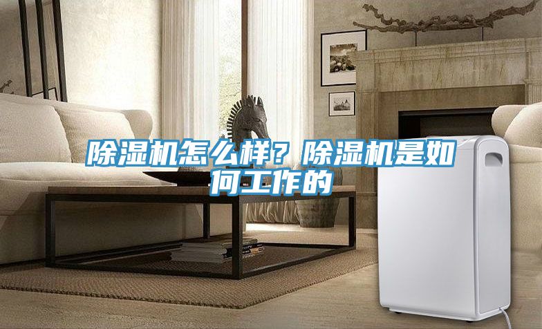 小黄片直播视频怎么样？小黄片直播视频是如何工作的