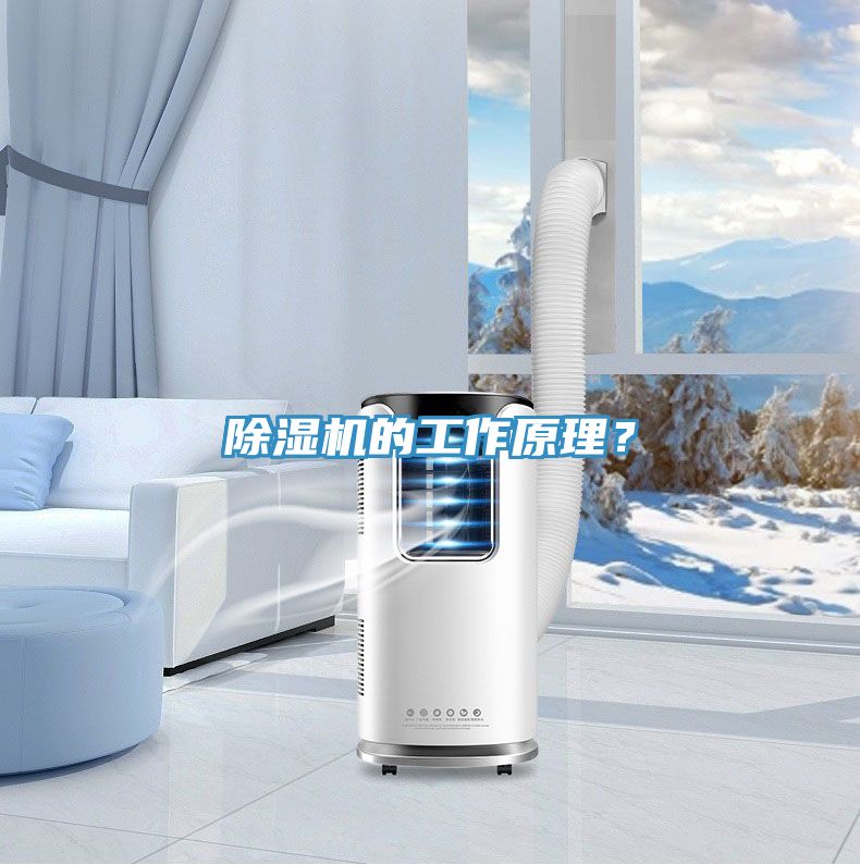 小黄片直播视频的工作原理？