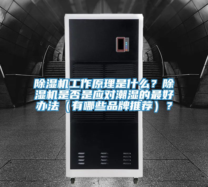 小黄片直播视频工作原理是什么？小黄片直播视频是否是应对潮湿的最好办法（有哪些品牌推荐）？