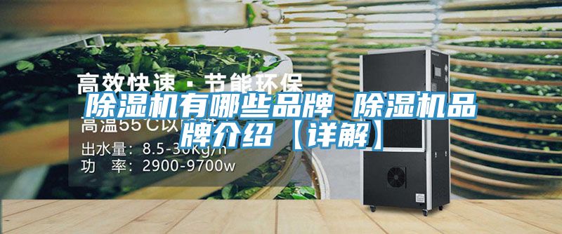 小黄片直播视频有哪些品牌 小黄片直播视频品牌介绍【详解】