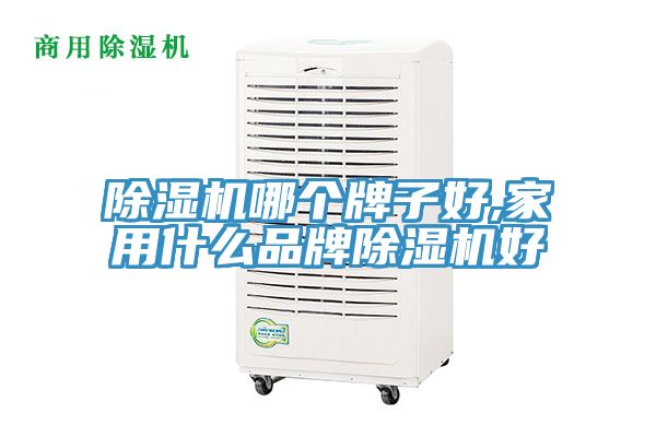 小黄片直播视频哪个牌子好,家用什么品牌小黄片直播视频好