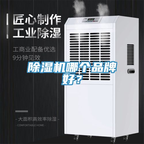 小黄片直播视频哪个品牌好？