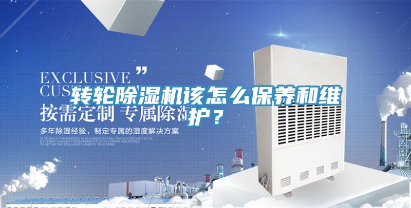 转轮小黄片直播视频该怎么保养和维护？