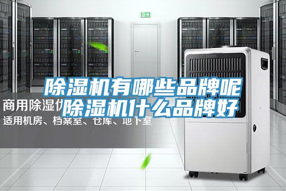 小黄片直播视频有哪些品牌呢 小黄片直播视频什么品牌好