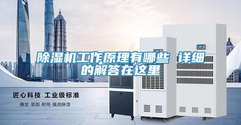 小黄片直播视频工作原理有哪些 详细的解答在这里