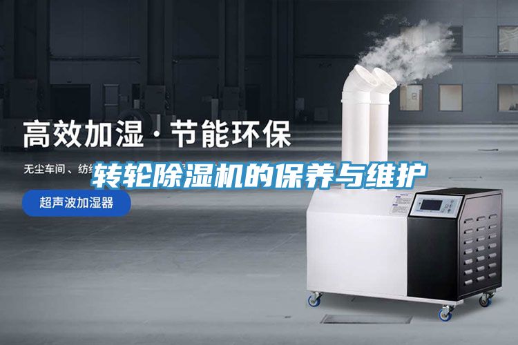 转轮小黄片直播视频的保养与维护