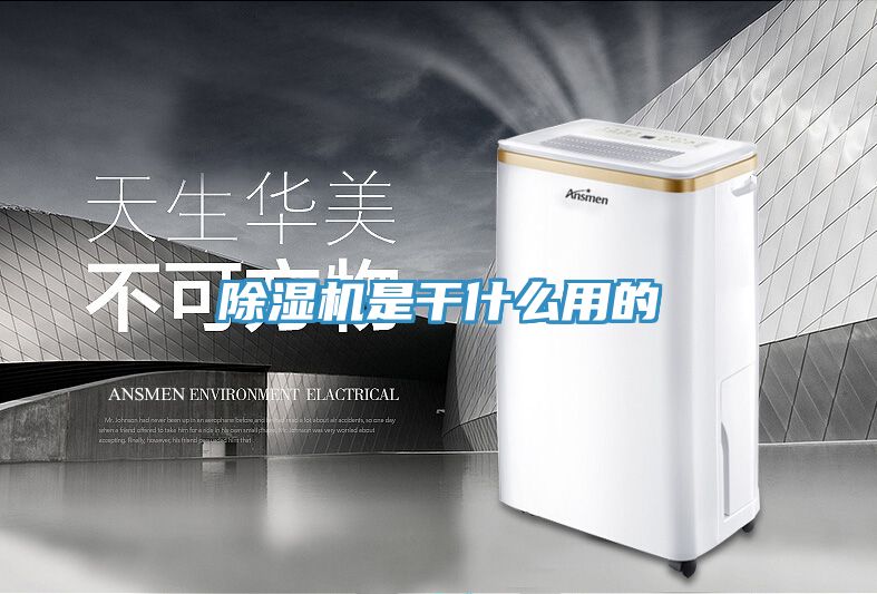 小黄片直播视频是干什么用的