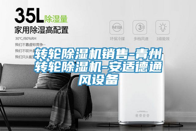 转轮小黄片直播视频销售-青州转轮小黄片直播视频-安适德通风设备