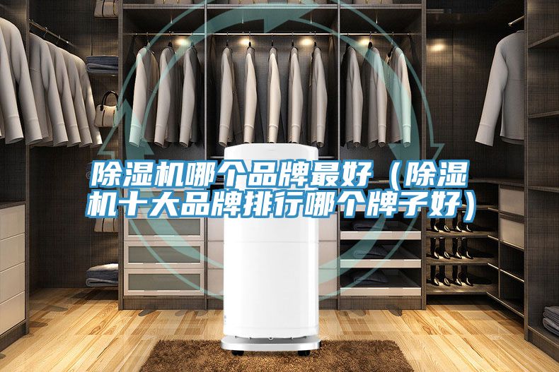 小黄片直播视频哪个品牌最好（小黄片直播视频十大品牌排行哪个牌子好）