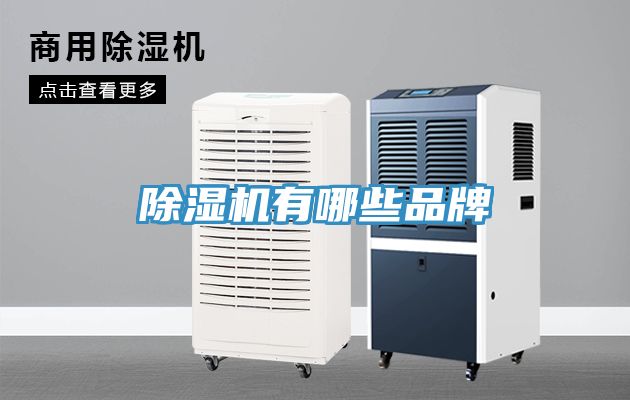 小黄片直播视频有哪些品牌