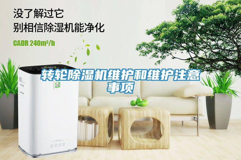 转轮小黄片直播视频维护和维护注意事项
