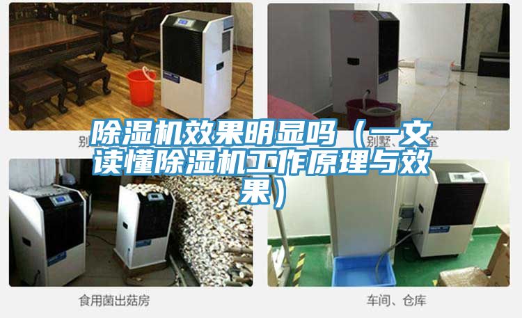 小黄片直播视频效果明显吗（一文读懂小黄片直播视频工作原理与效果）