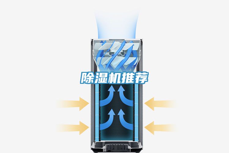 小黄片直播视频推荐
